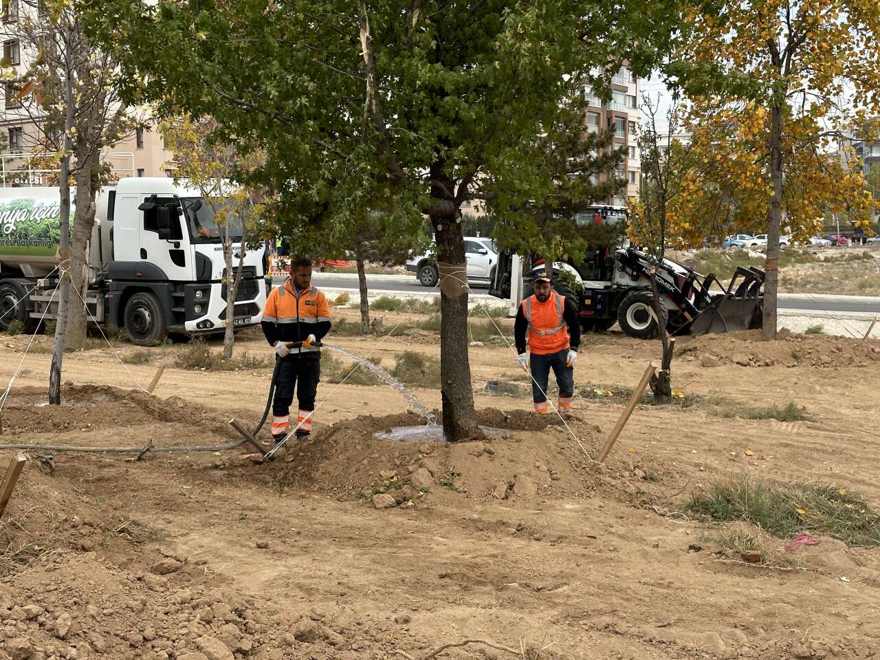 Konya’da tramvay çalışması nedeniyle kaldırılan ağaçların akıbeti belli oldu 5